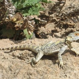 Владимир, Москва