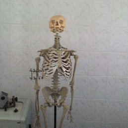 Саня, Москва