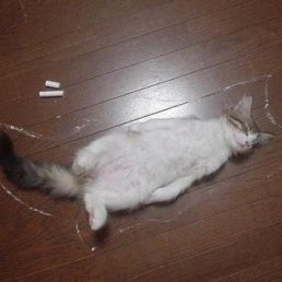 Эдуард, Климовск