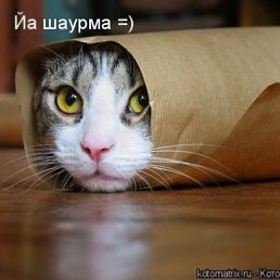 Keti, Москва