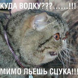 Влад, Москва