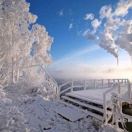 Гоша, Москва