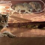 Дима, Москва