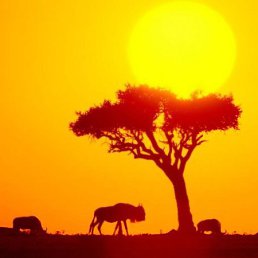 Светлана, Москва