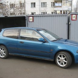 Рома, Санкт-Петербург