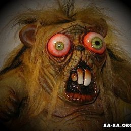 Алекс, Киев