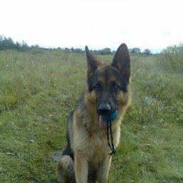Егор, Киев