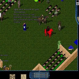 Кирилл, Киев