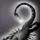 Карина, Санкт-Петербург