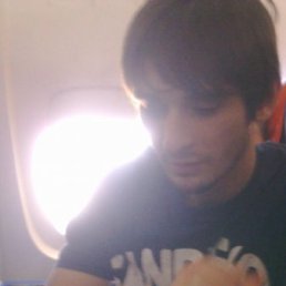 Медведь, Москва