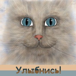 Евгения, Оленегорск