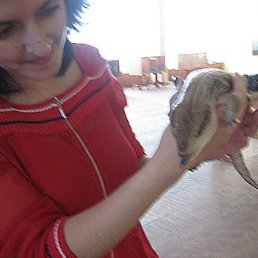 Анна, Мышкин