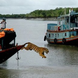 Сергей, Киев