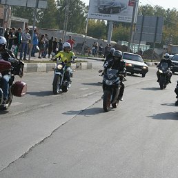 Роман, Грязовец