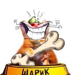 Дениска, Строитель