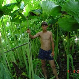 Виталий, Алматы