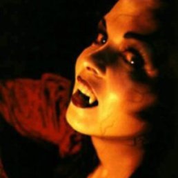 Лейла, Санкт-Петербург