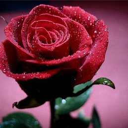 Мария, Киев