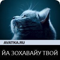 Алексей, Санкт-Петербург