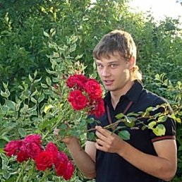 Роман, Москва