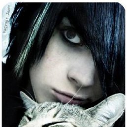 Vovka, Санкт-Петербург