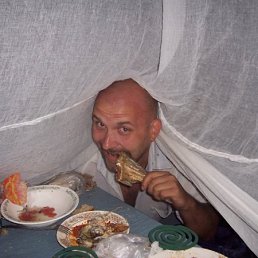 Толяник, Москва