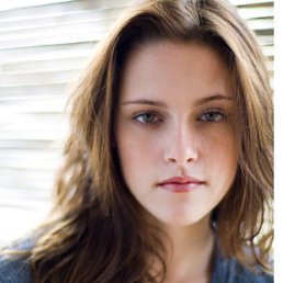 Снежка, Дружковка