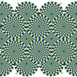 Вадим, Киров