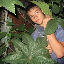 Саша, Москва