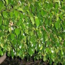 Юля, Челябинск