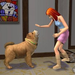 Ириша, Новосибирск