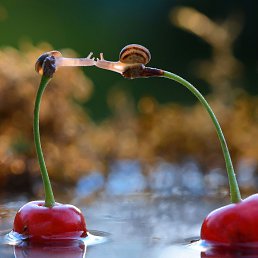 Катя, Москва