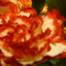 Алла, Пудож