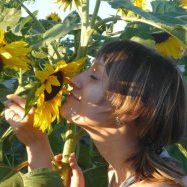 Юля, Сыктывкар