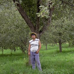 Даниил, Санкт-Петербург