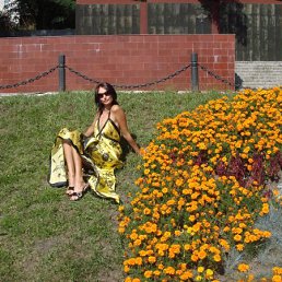 Виоло4ка, Москва