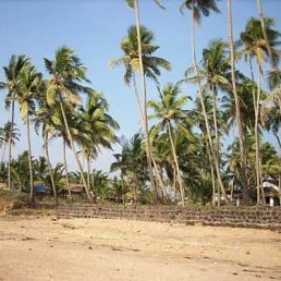 Саша, Москва