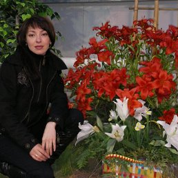 Алена, Киев