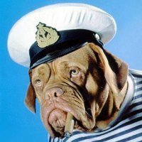 David, Мариуполь