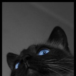 Андрюха, Пермь