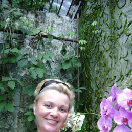 Викака, Москва