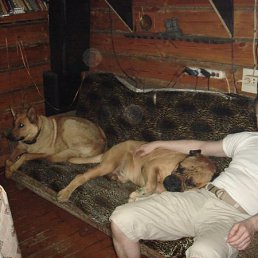 Владимир, Москва