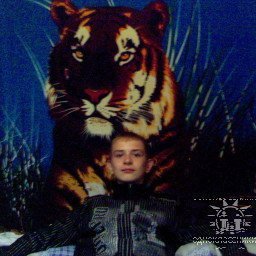 Алексей, Санкт-Петербург