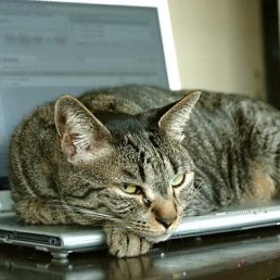 Сергей, Красноярск